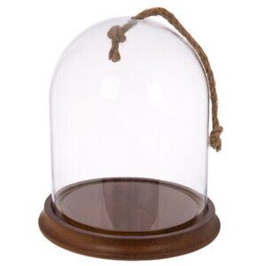 Glass Dome Terrarium / Display Case with Wood Base - Short